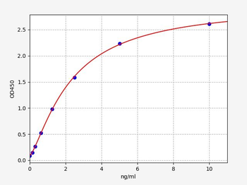 Rabbit PINP (N-terminal propeptide of Collagen alpha-1 (I) chain) ELISA Kit