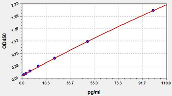 Rat MIP-1β (Macrophage Inflammatory Protein 1 Beta) ELISA Kit