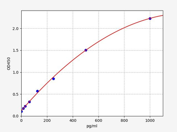 Rat IL-12 ELISA Kit