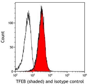 Rabbit TFEB Recombinant Monoclonal Antibody