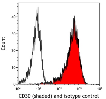 Rabbit CD30 Recombinant Monoclonal Antibody