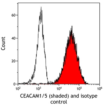 Rabbit CEACAM1/5 Recombinant Monoclonal Antibody