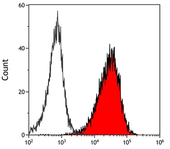 Rabbit LAG3 Recombinant Monoclonal Antibody