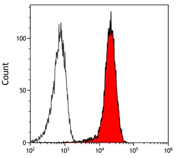 Rabbit BRD7 Antibody