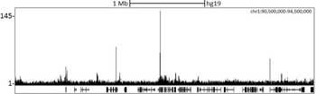 Rabbit CBX8 Antibody