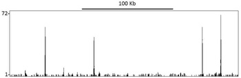 Rabbit TIF1 Alpha/TRIM24 Antibody
