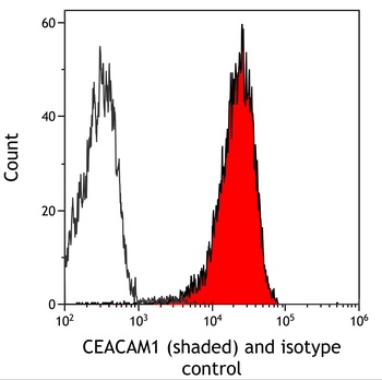 Rabbit CEACAM1 Recombinant Monoclonal Antibody