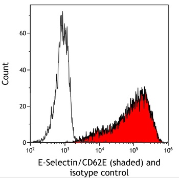 Rabbit E-Selectin/CD62E Recombinant Monoclonal Antibody