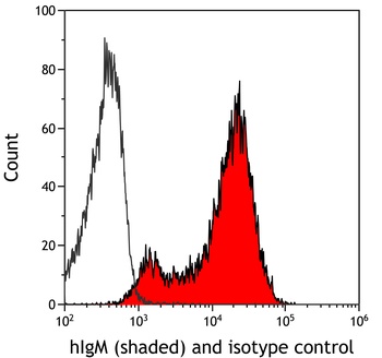 Rabbit IgM Recombinant Monoclonal Antibody