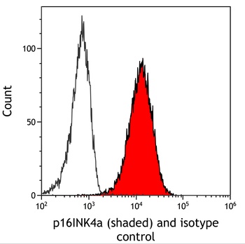 Mouse p16INK4a Recombinant Monoclonal Antibody