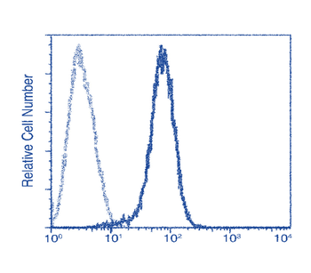 Tissue Factor Rabbit Polyclonal Antibody