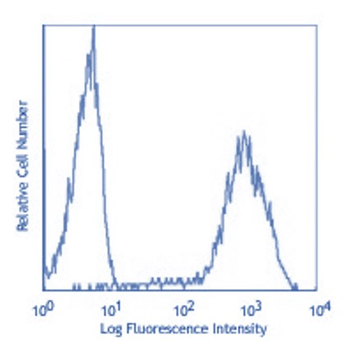 CD63 Rabbit Polyclonal Antibody