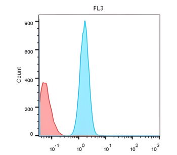 CD19 Rabbit Polyclonal Antibody