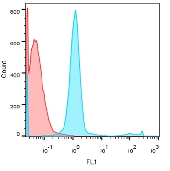 Pan-Cytokeratin Rabbit Polyclonal Antibody