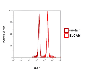 EpCAM Rabbit Polyclonal Antibody