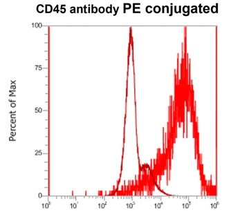 CD45 (Intracellular) Rabbit Polyclonal Antibody