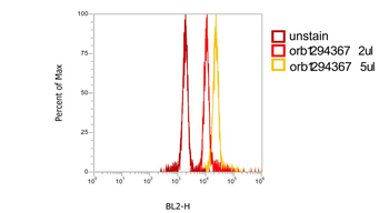 CD45 (Extracellular) Rabbit Polyclonal Antibody