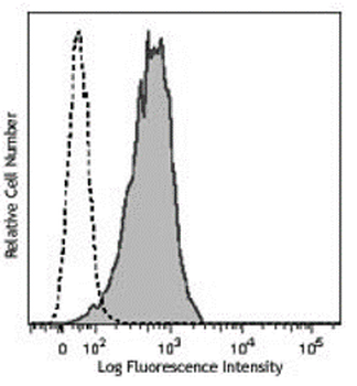 LAMP2 Mouse Monoclonal Antibody