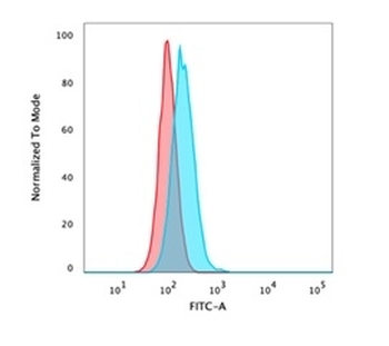 Recombinant deltaNp63 Antibody / p40