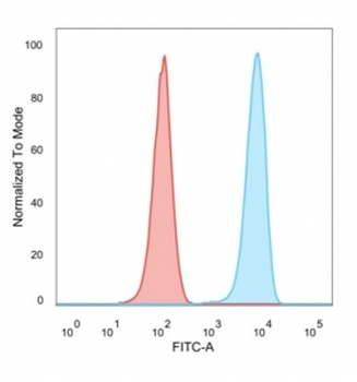 SET Antibody / Protein SET / TAFI