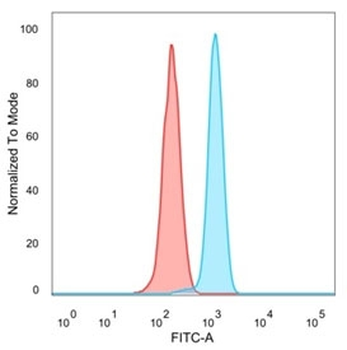 ZBED1 Antibody / DREF
