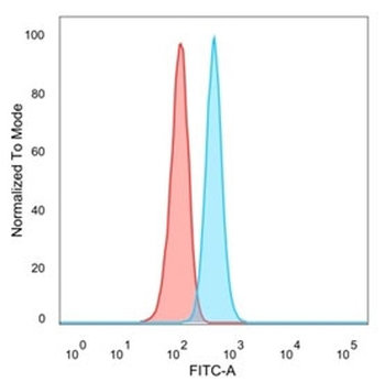 GTF2H2C Antibody