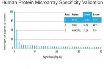 CD276 Antibody / B7-H3