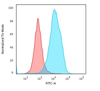 HSP60 Antibody / HSPD1