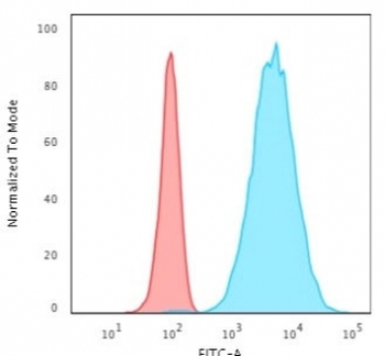 Cytokeratin 8 Antibody