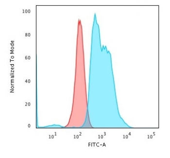 Nucleoli Marker Antibody / Human Nucleolar Antigen