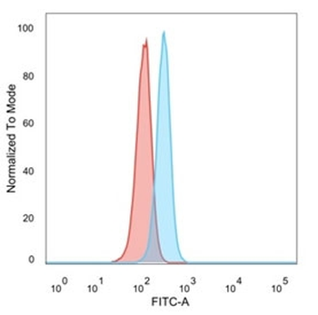 RXR gamma Antibody / RXRG