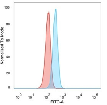 PRMT7 Antibody