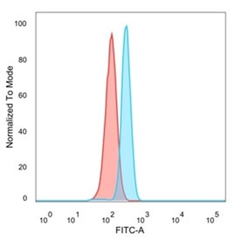 CNOT10 Antibody / CCR4-NOT transcription complex subunit 10