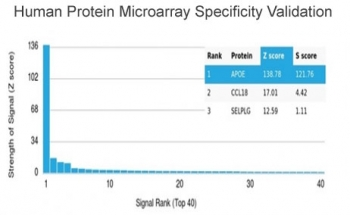 Apolipoprotein E Antibody / APOE