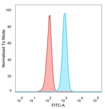 SP100 Antibody