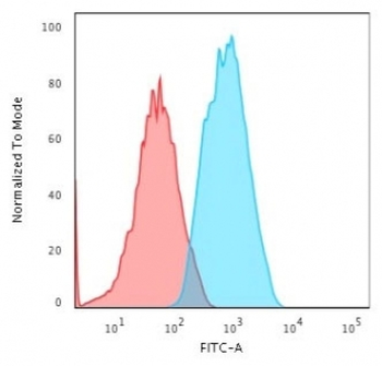 Smooth Muscle Actin Antibody