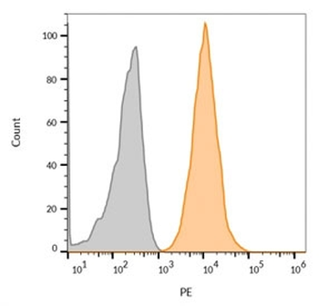 CD63 Antibody / LAMP-3