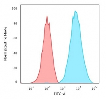 HLA-DR Antibody (MHC II)