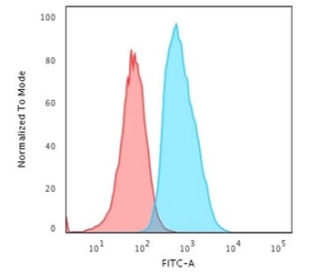 S100A4 Antibody / FSP1