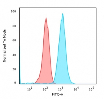 Recombinant CD79a Antibody / Rabbit Monoclonal
