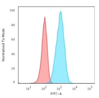 Recombinant Glial Fibrillary Acidic Protein Antibody