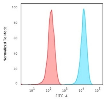 CD3e Antibody