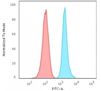 Ki-67 Antibody