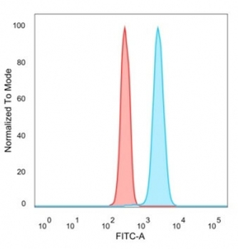 p63 Antibody