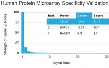 CD127 Antibody / IL7R