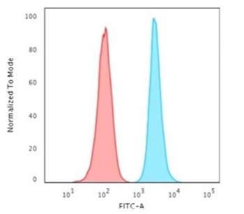 Histone Antibody / Histone H1
