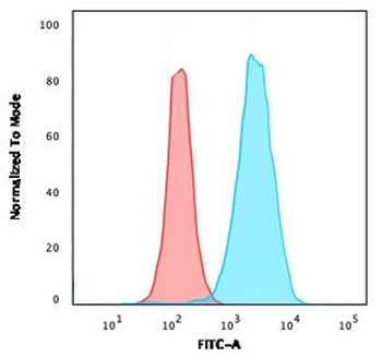 CD43 Antibody