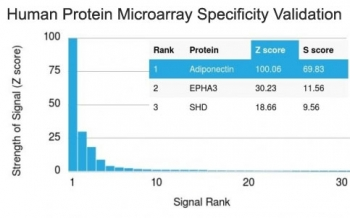Adiponectin Antibody