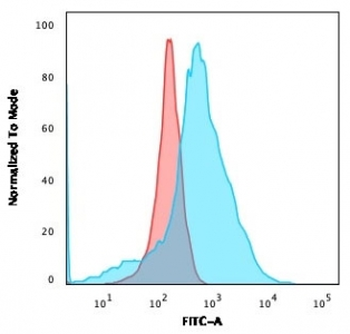 GLUT1 Antibody