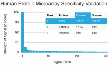 pS2 Antibody / TFF1